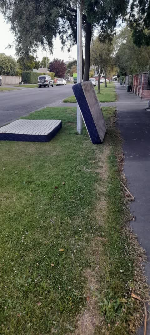 Rubbish/Recycling, a report photo