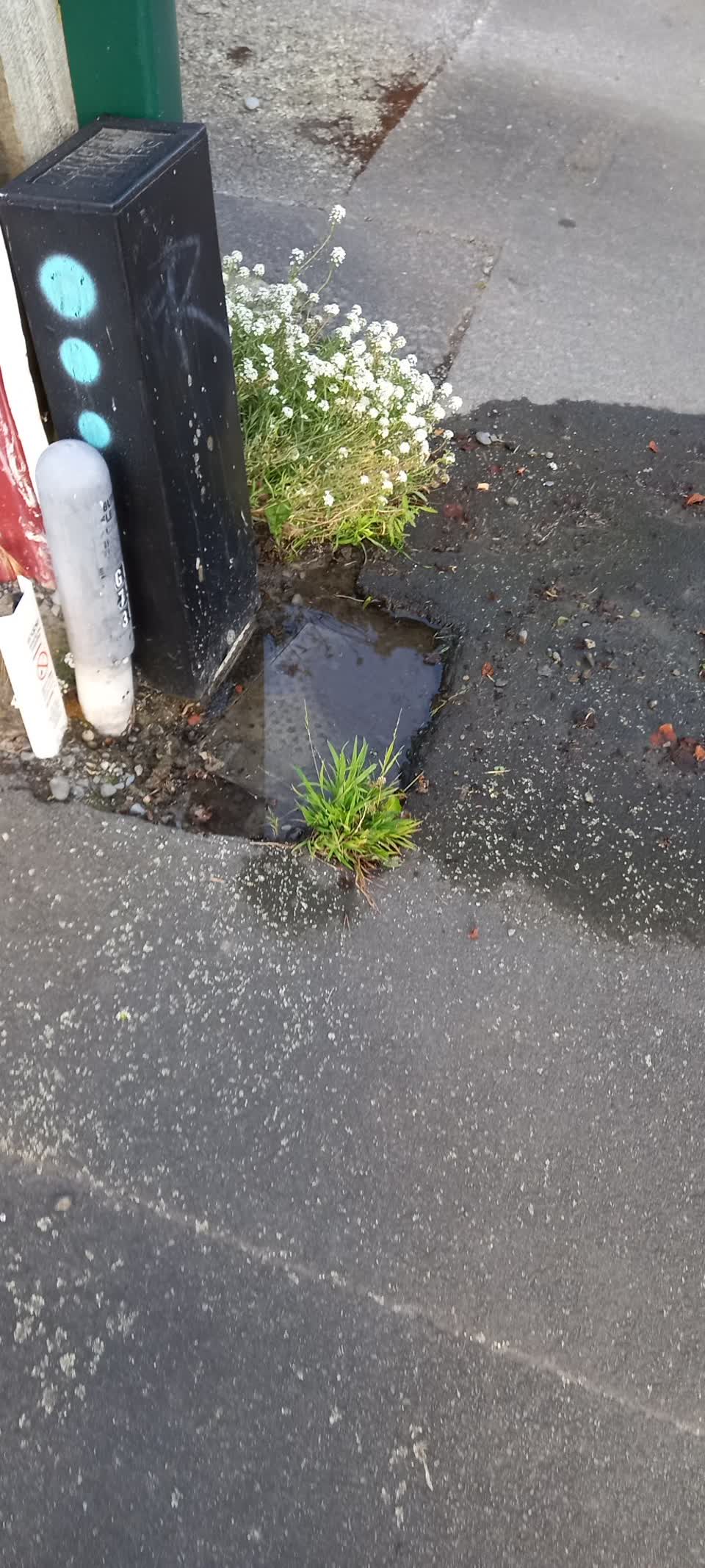 The photograph attached to this water leak report
