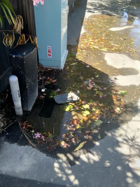 Water Leak, a report photo