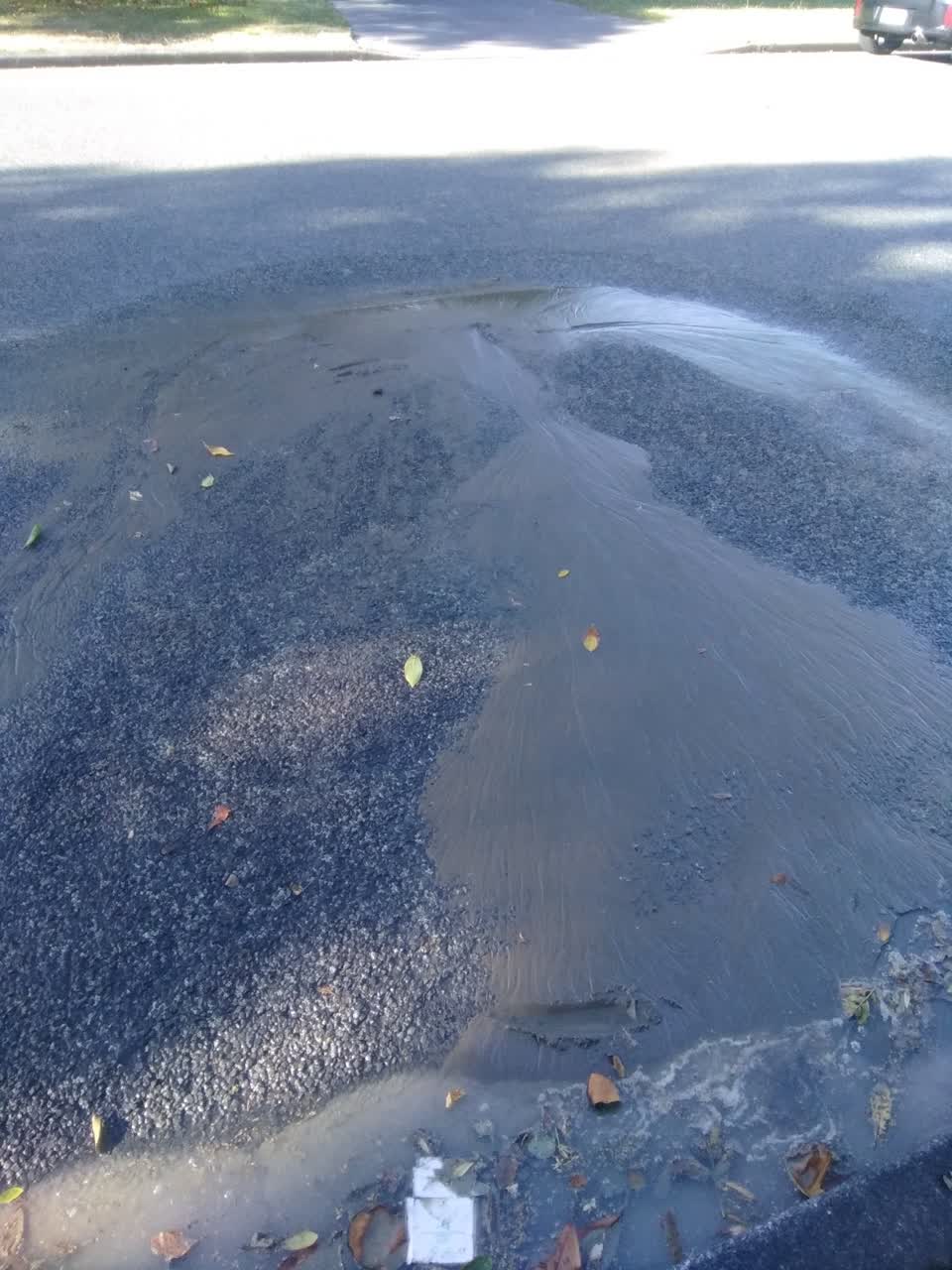 The photograph attached to this water leak report