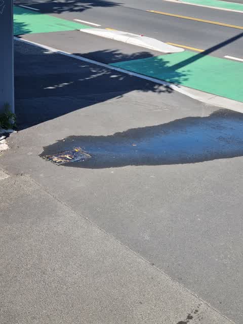 Water Leak, a report photo