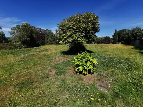 Parks, a report photo