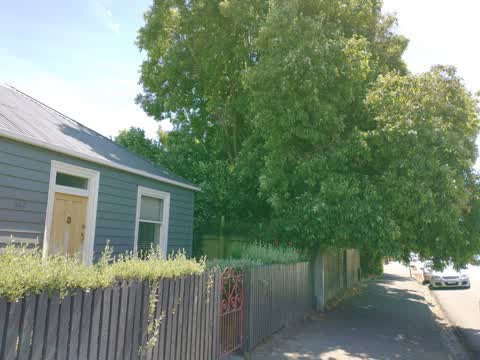 Roading/Streets, a report photo
