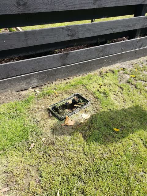 Sewer - Leak / Blockage, a report photo
