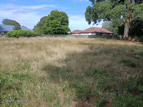 Parks, a report photo