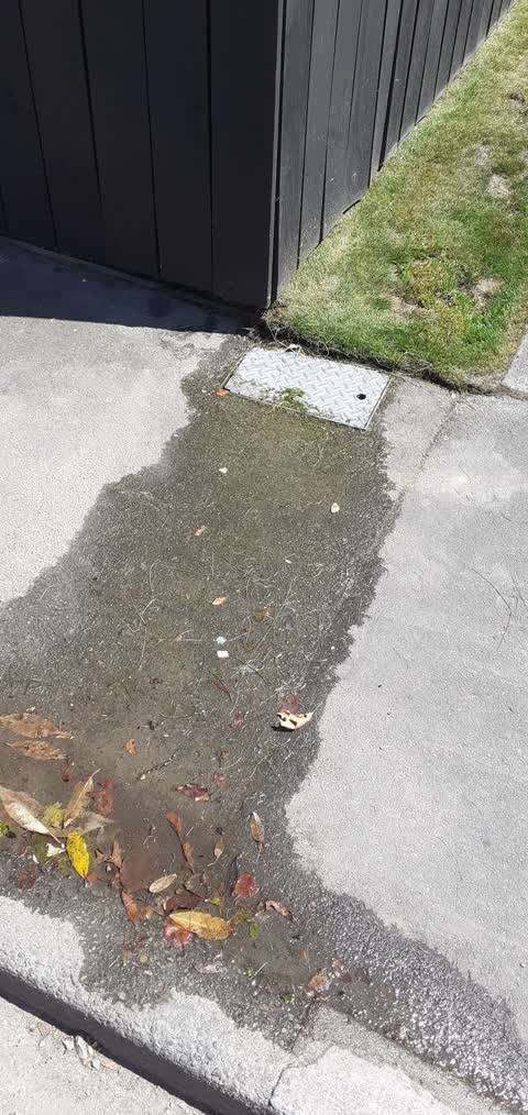 Water Leak, a report photo