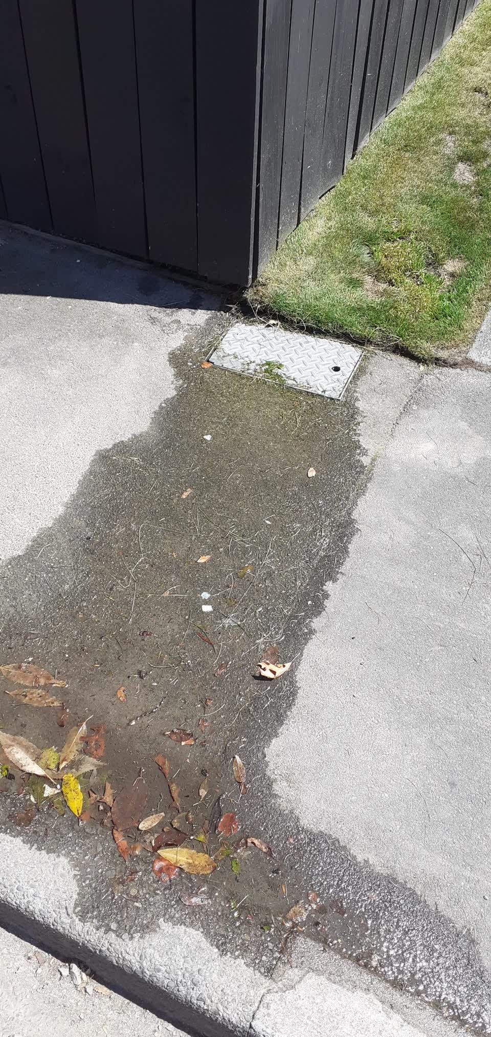 The photograph attached to this water leak report
