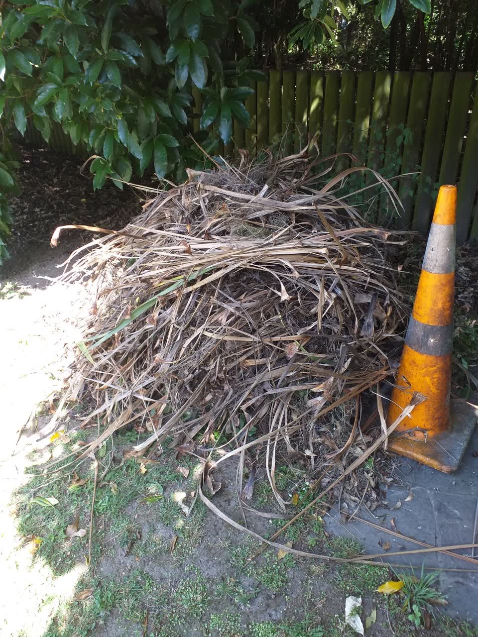 The photograph attached to this parks report