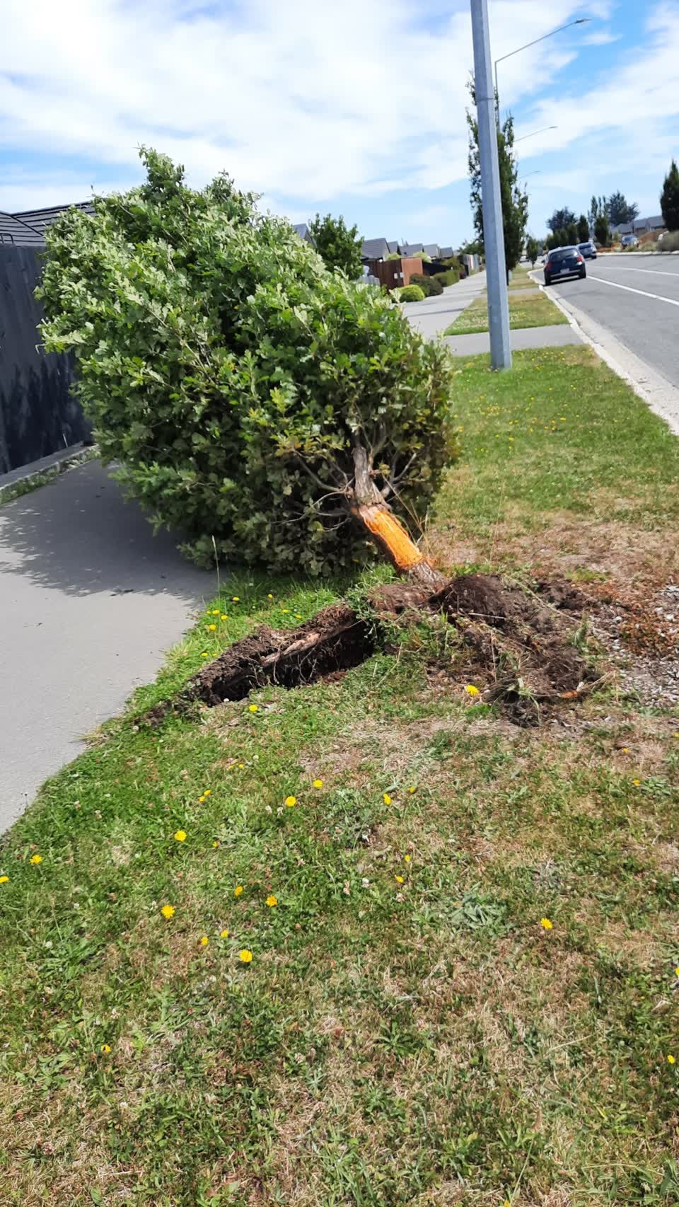 The photograph attached to this roading/streets report
