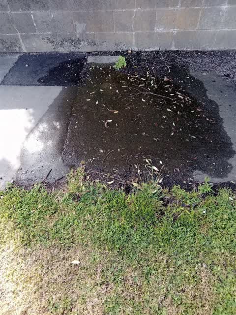 Water Leak, a report photo