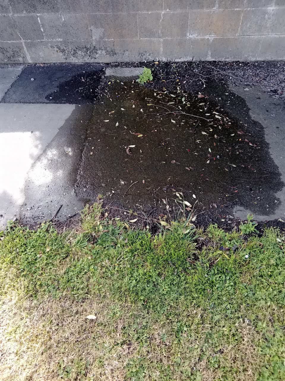 The photograph attached to this water leak report