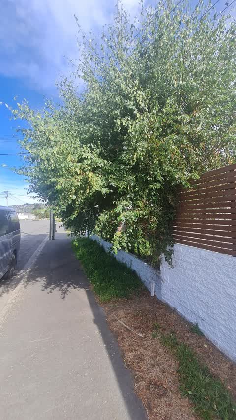 Roading/Streets, a report photo