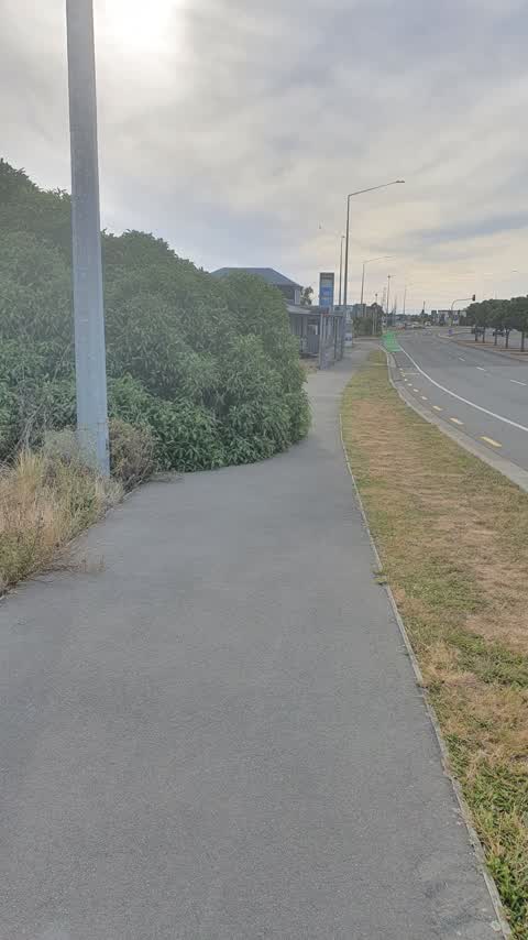 Roading/Streets, a report photo