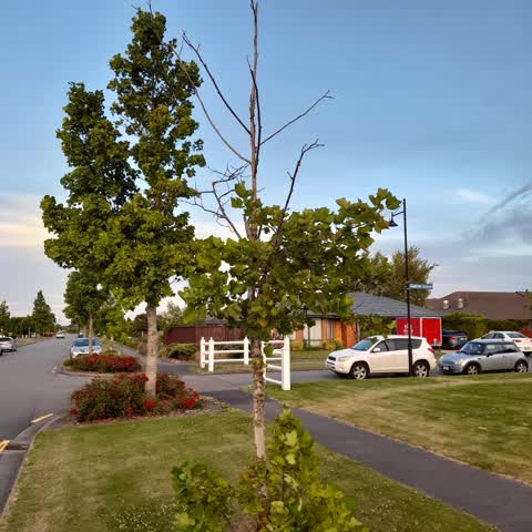 Parks, a report photo