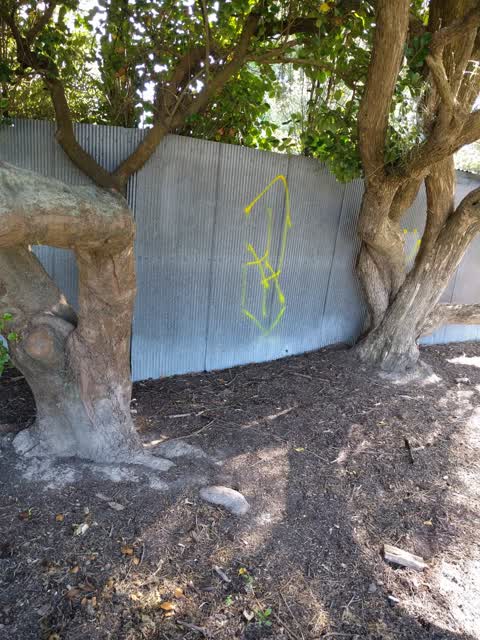 Graffiti, a report photo