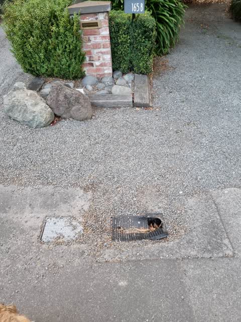 Water Supply, a report photo