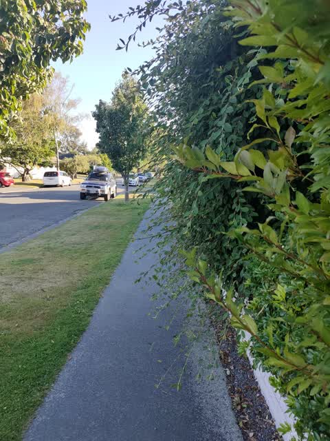 Roading/Streets, a report photo