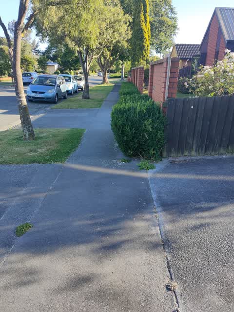 Roading/Streets, a report photo