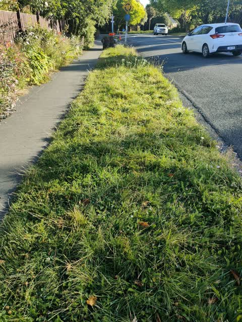Parks, a report photo