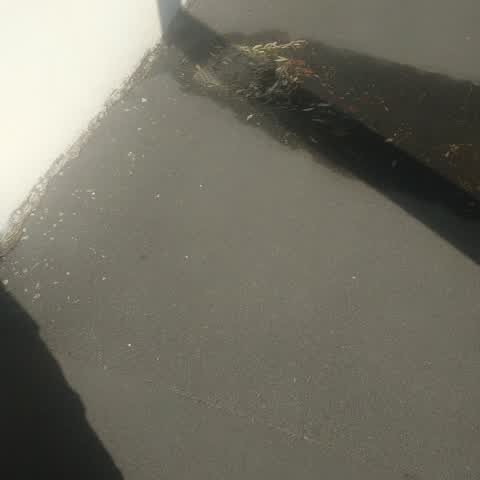 Water Leak, a report photo