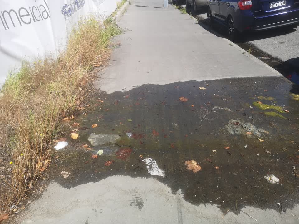 The photograph attached to this water leak report