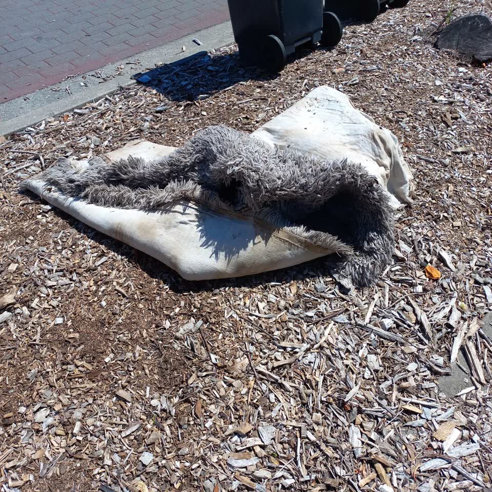 The photograph attached to this rubbish/recycling report