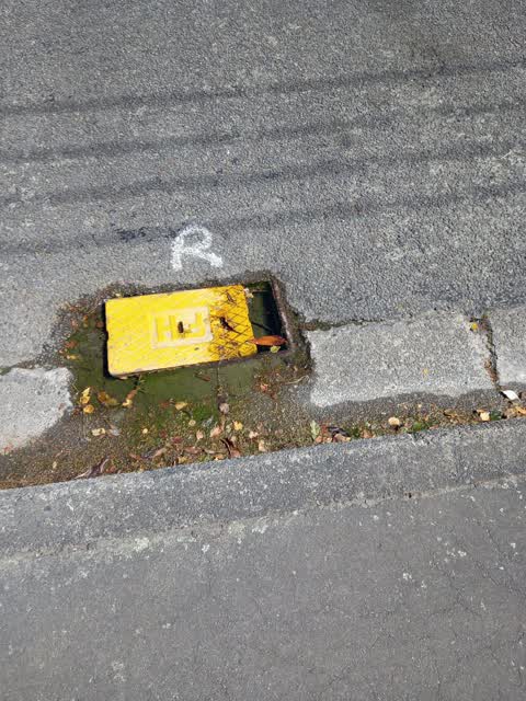 Water Leak, a report photo