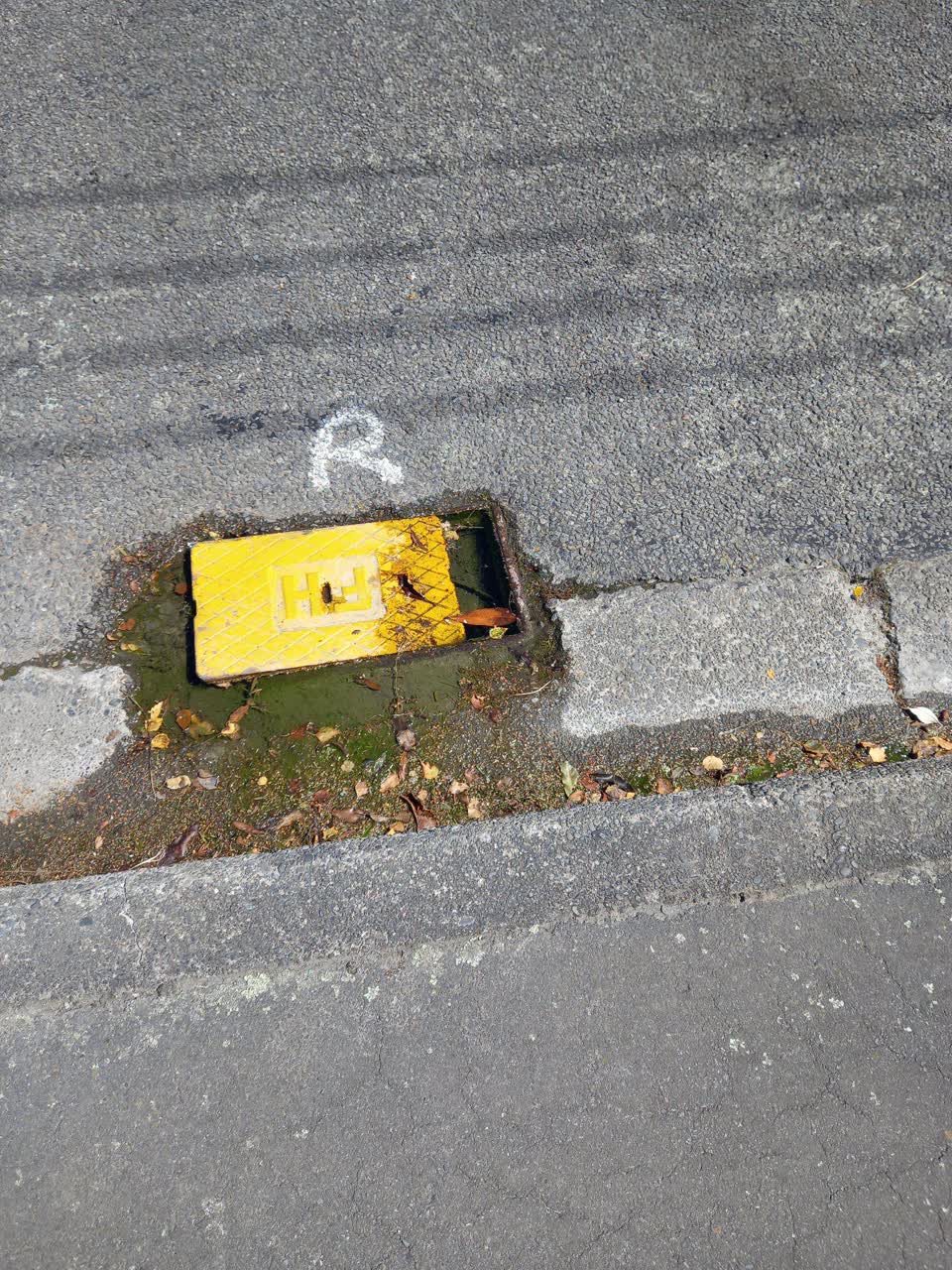 The photograph attached to this water leak report