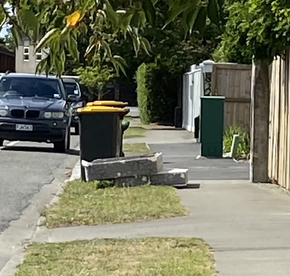 The photograph attached to this rubbish/recycling report
