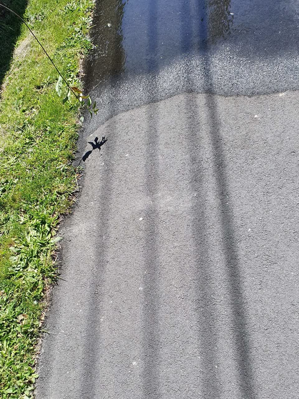 The photograph attached to this water leak report
