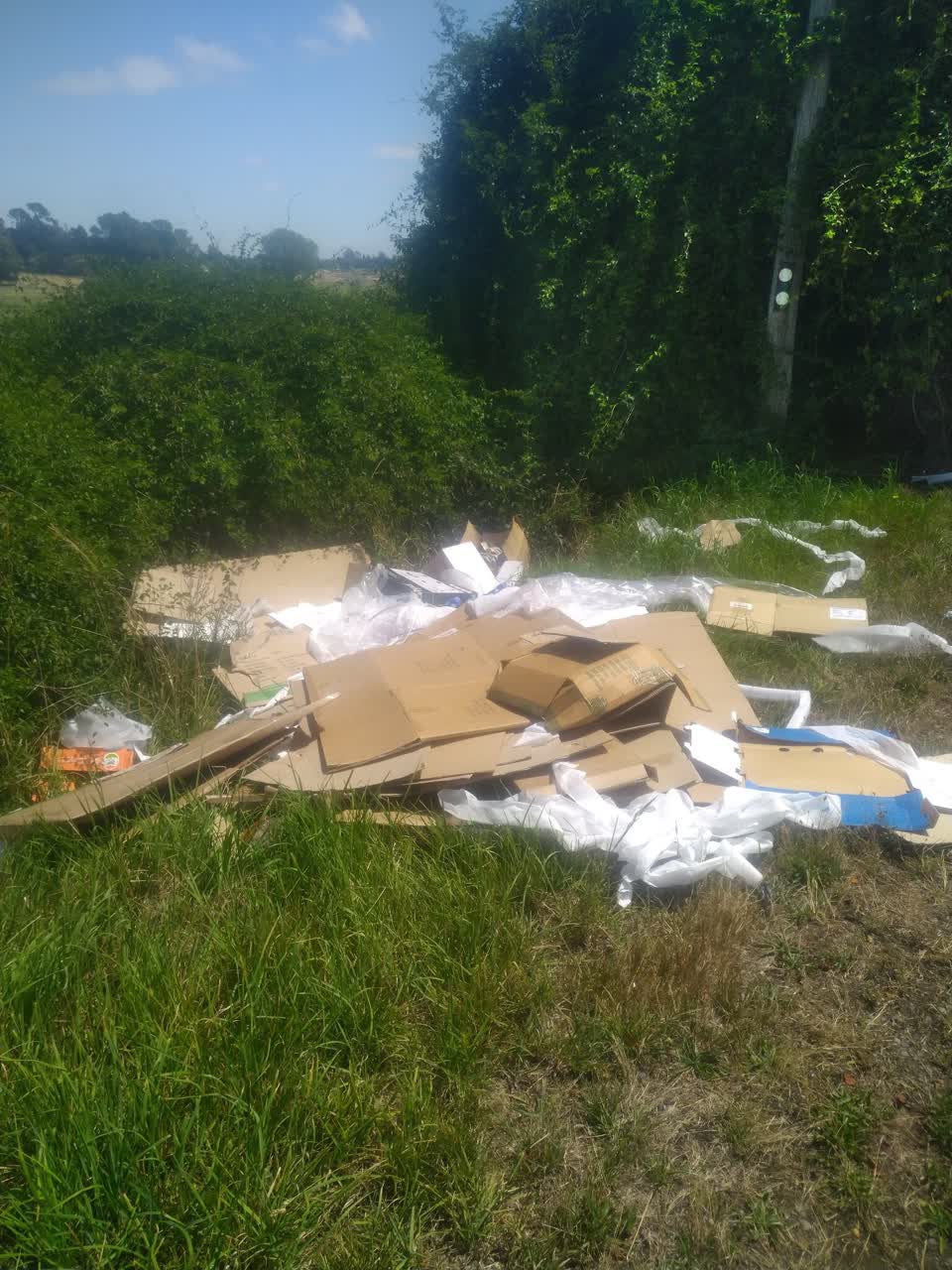The photograph attached to this rubbish/recycling report