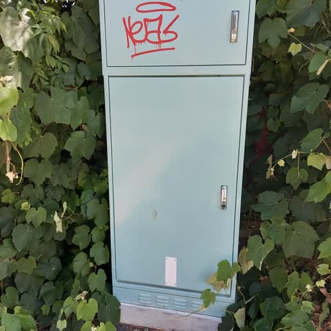 Graffiti, a report photo
