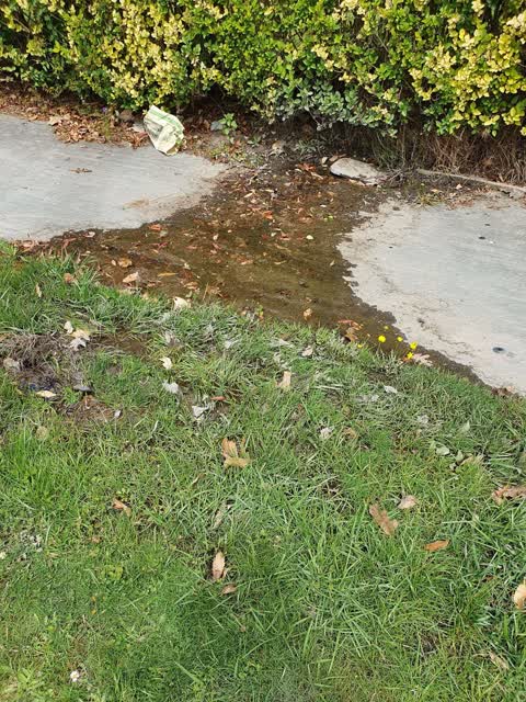 Water Leak, a report photo