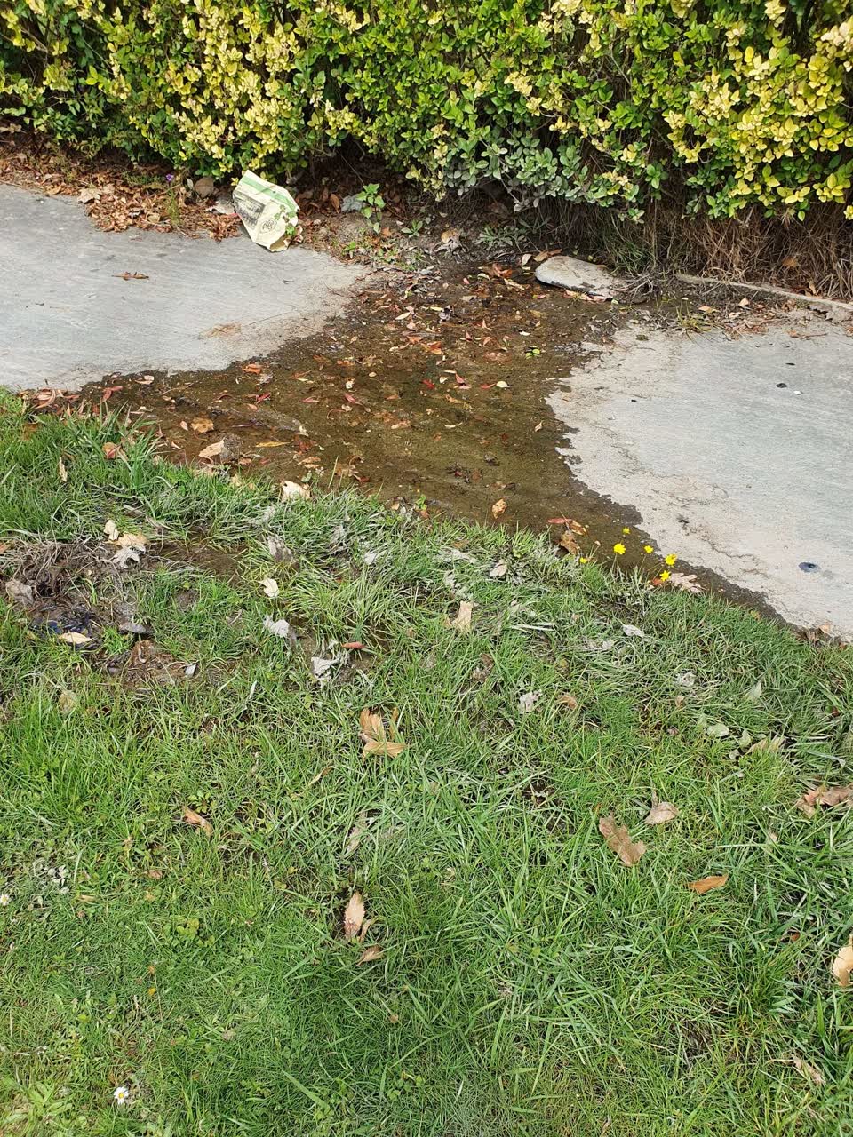 The photograph attached to this water leak report