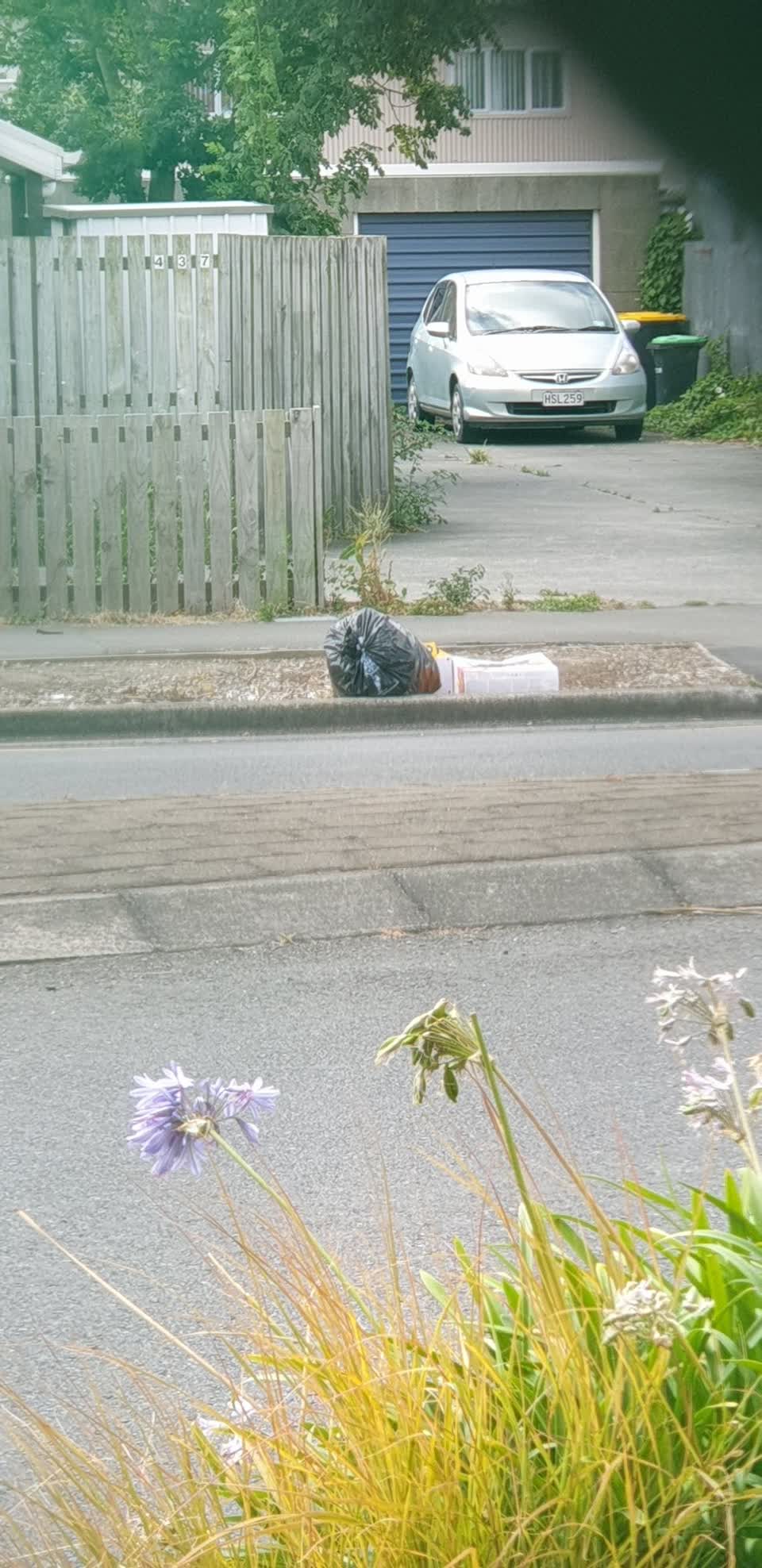 The photograph attached to this rubbish/recycling report