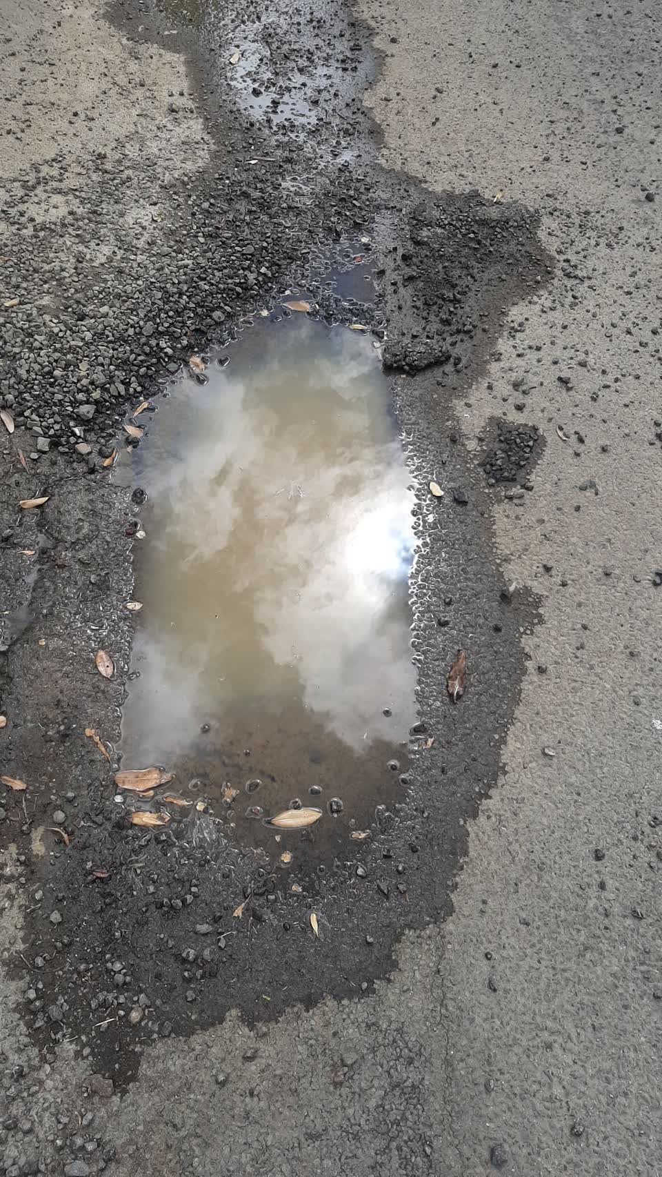 The photograph attached to this water leak report