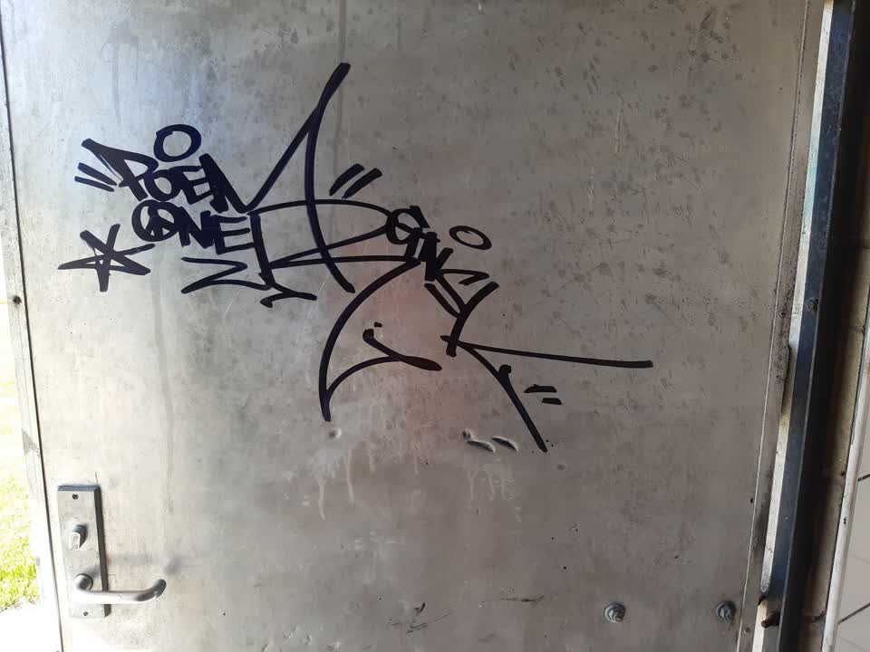 The photograph attached to this graffiti report