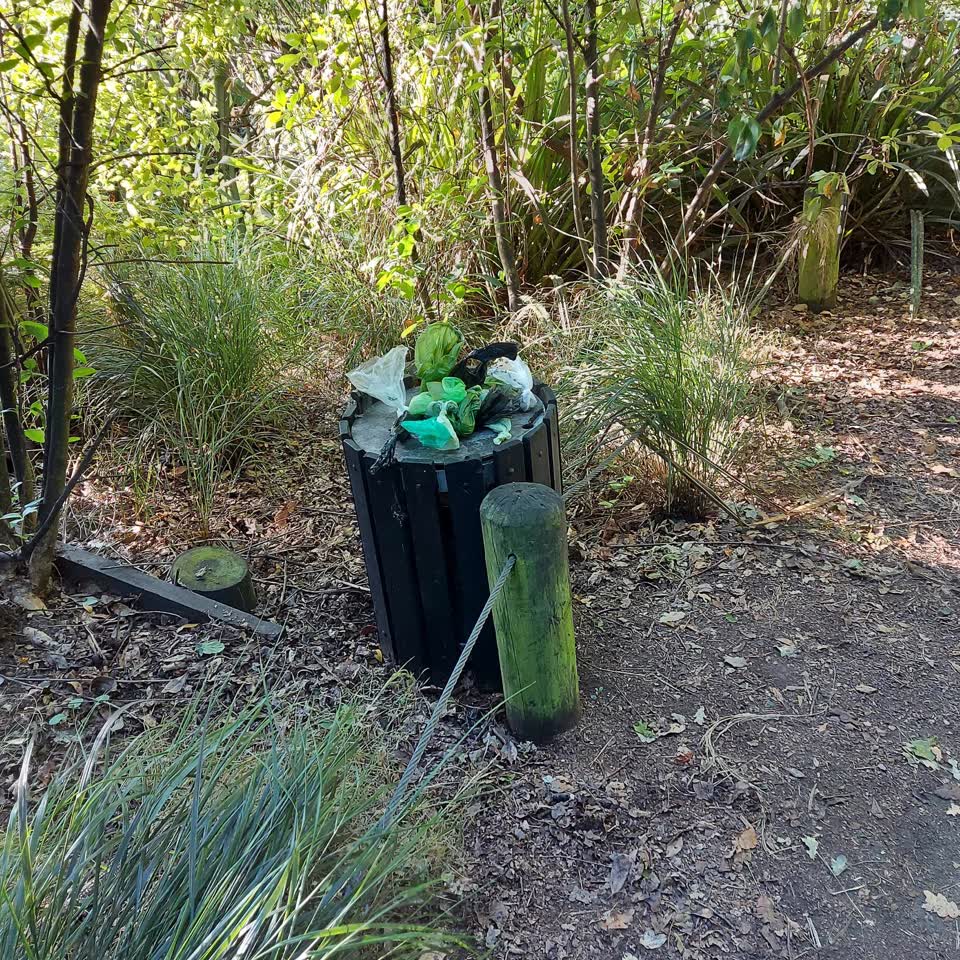 The photograph attached to this parks report