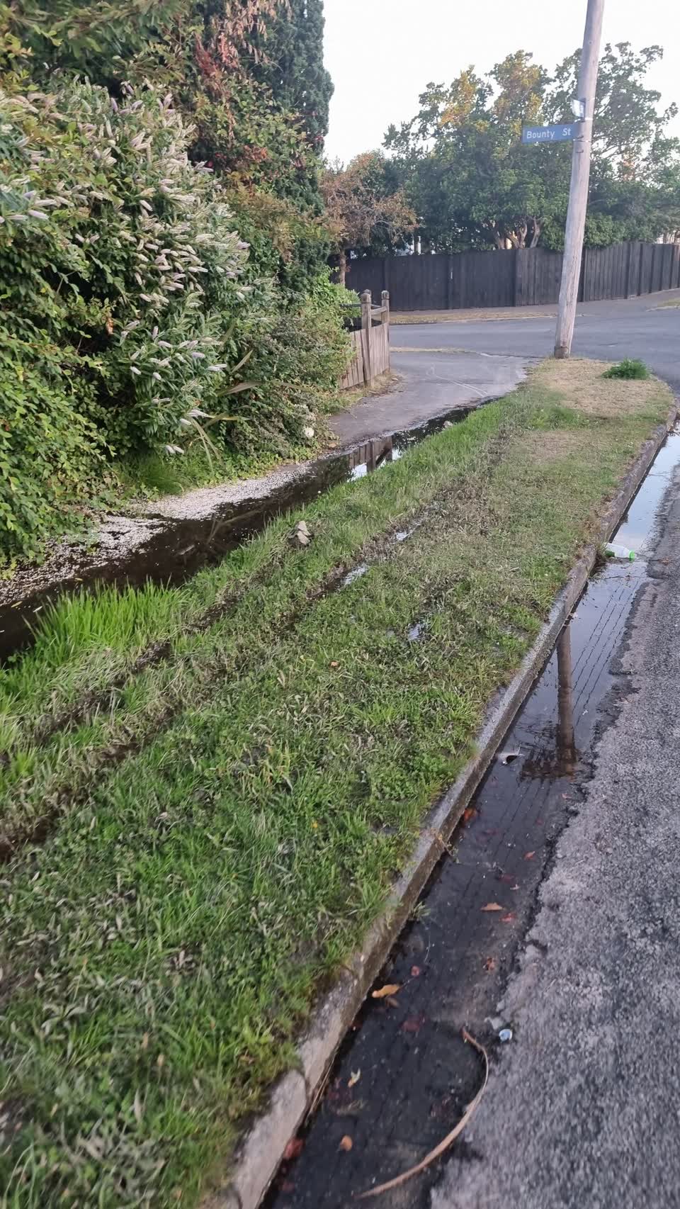 The photograph attached to this water supply report