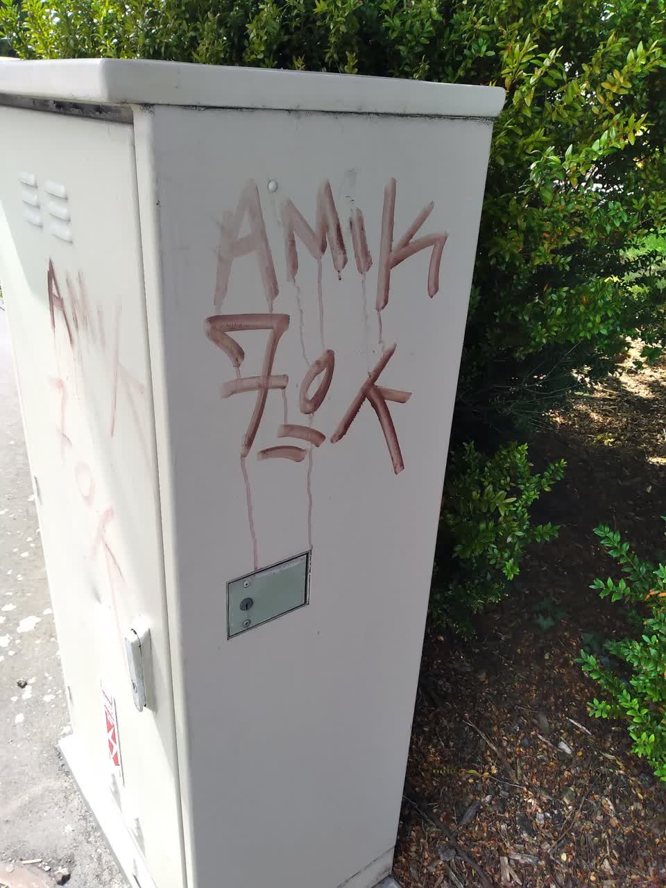 The photograph attached to this graffiti report