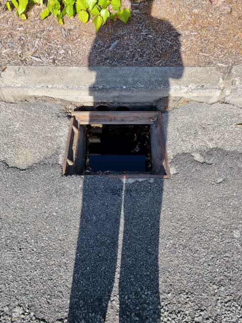 Roading/Streets, a report photo