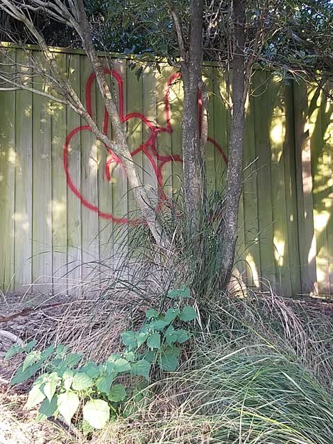 Graffiti — a report photo