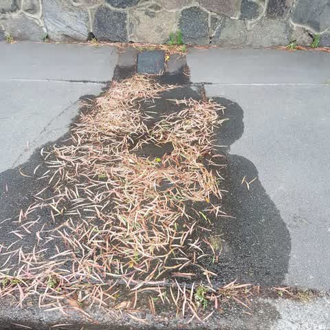 Water Leak, a report photo