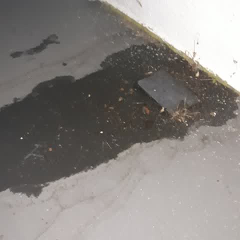 Water Leak, a report photo
