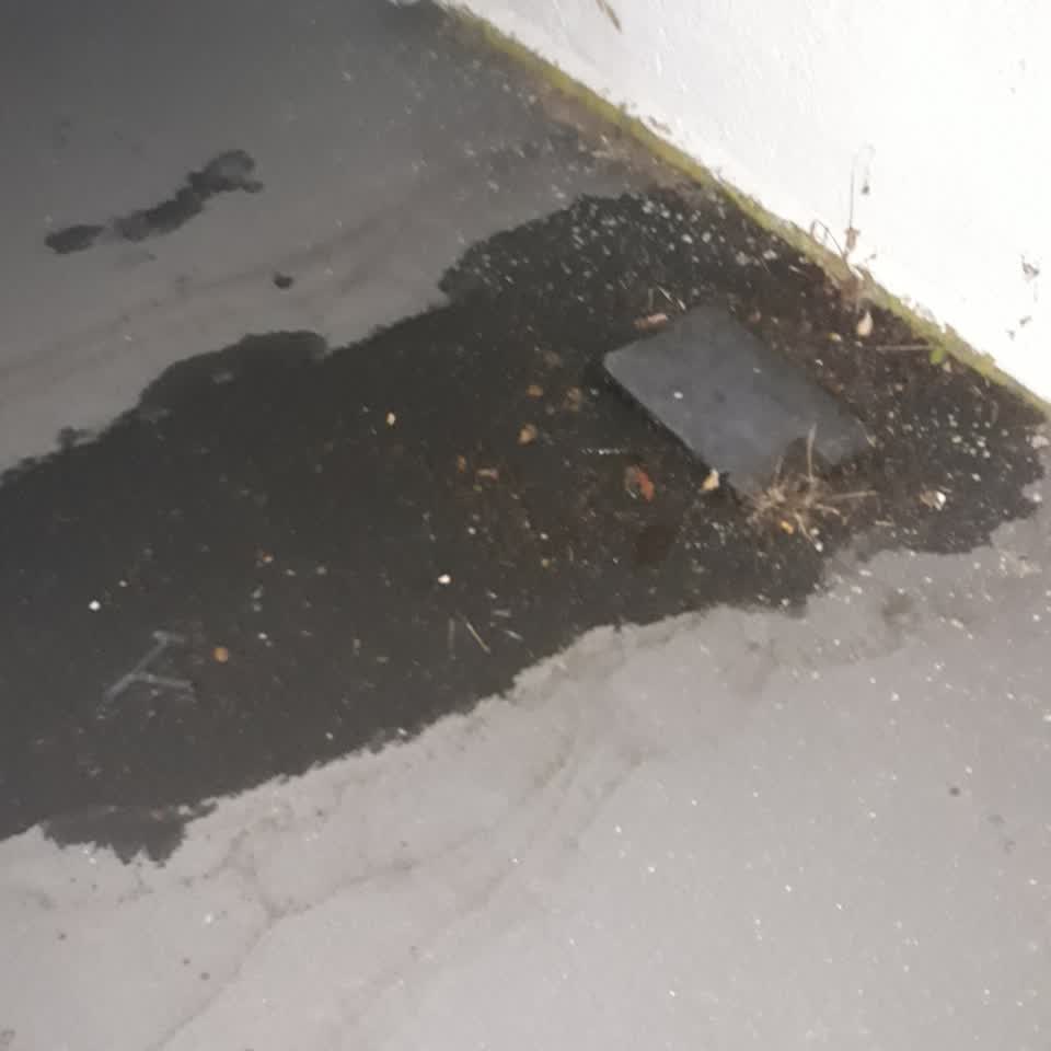 The photograph attached to this water leak report