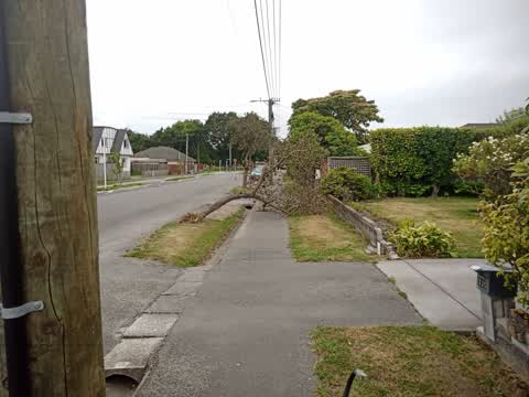 Roading/Streets, a report photo