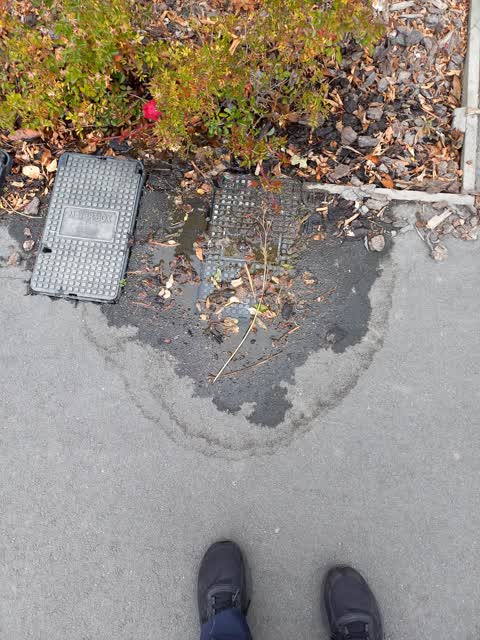 Water Leak, a report photo