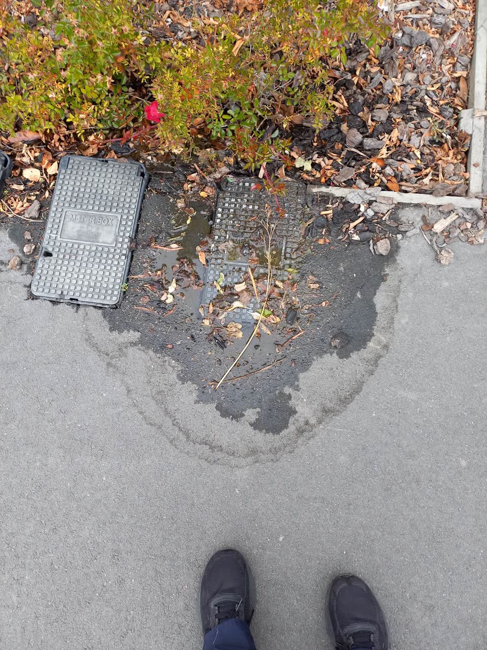 The photograph attached to this water leak report