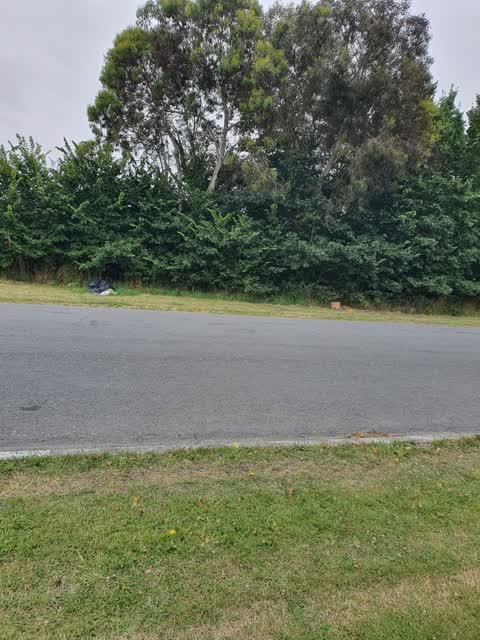 Rubbish/Recycling, a report photo