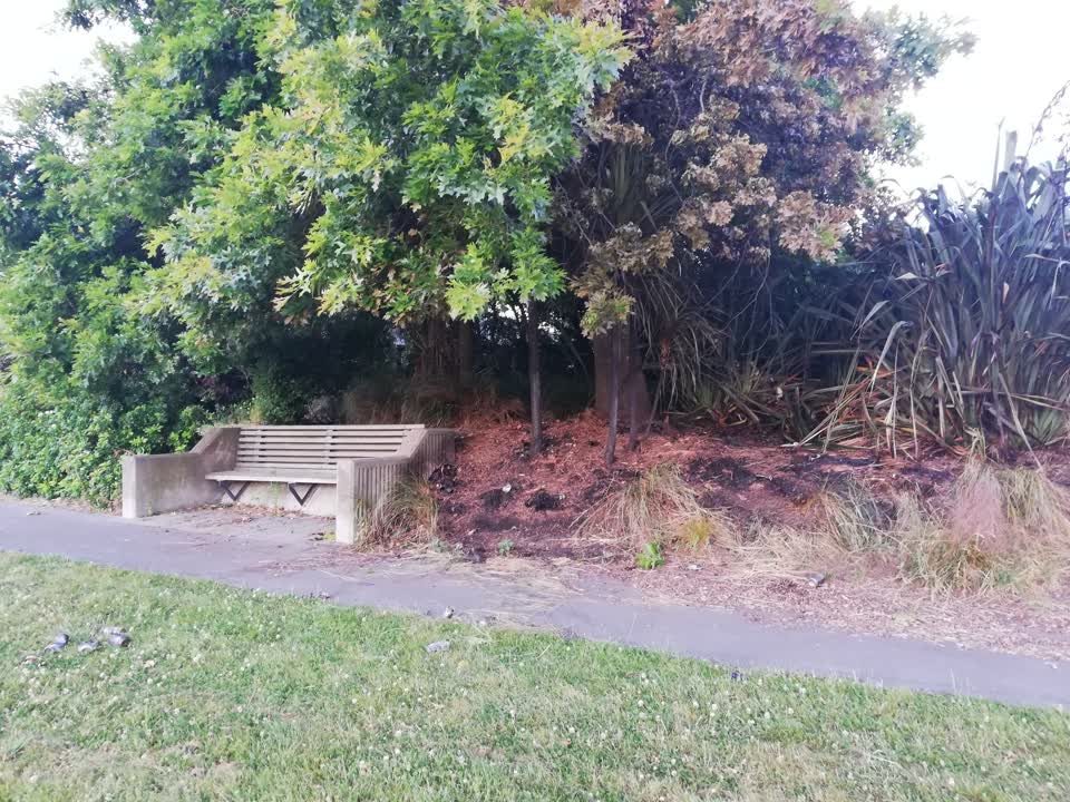 The photograph attached to this parks report